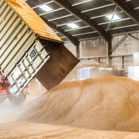 MKM Sharpness Docks Packing Plant